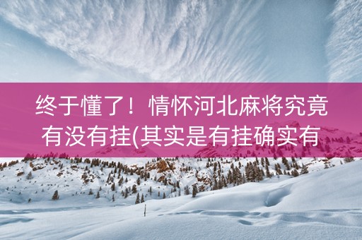 终于懂了！情怀河北麻将究竟有没有挂(其实是有挂确实有挂)