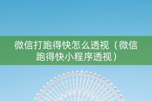 微信打跑得快怎么透视（微信跑得快小程序透视）