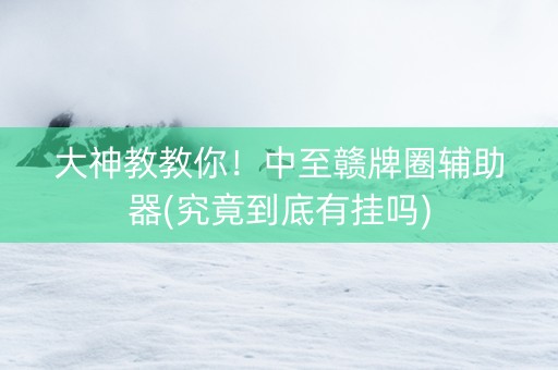 大神教教你！中至赣牌圈辅助器(究竟到底有挂吗)
