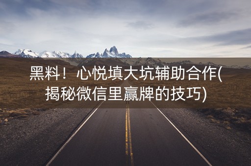 黑料！心悦填大坑辅助合作(揭秘微信里赢牌的技巧)