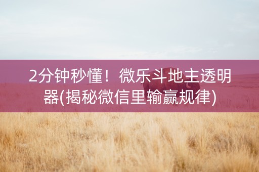 2分钟秒懂！微乐斗地主透明器(揭秘微信里输赢规律)