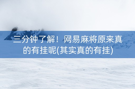 三分钟了解！网易麻将原来真的有挂呢(其实真的有挂)