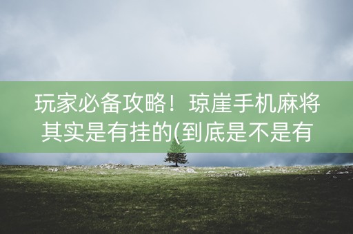 玩家必备攻略！琼崖手机麻将其实是有挂的(到底是不是有挂)