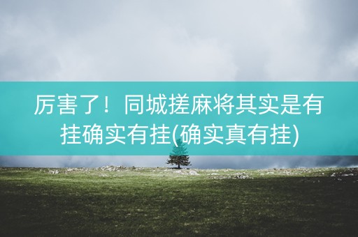 厉害了！同城搓麻将其实是有挂确实有挂(确实真有挂)