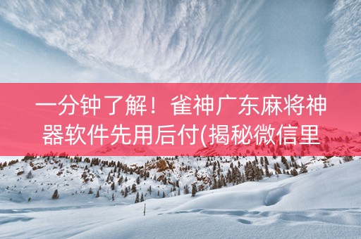 一分钟了解！雀神广东麻将神器软件先用后付(揭秘微信里怎么容易赢)