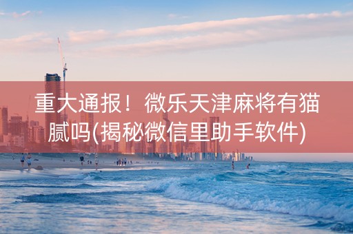 重大通报！微乐天津麻将有猫腻吗(揭秘微信里助手软件)