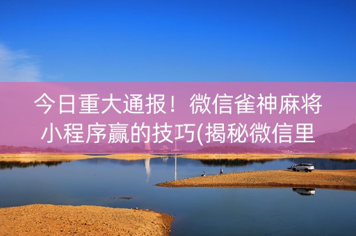今日重大通报！微信雀神麻将小程序赢的技巧(揭秘微信里辅牌器)