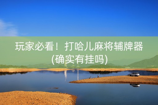玩家必看！打哈儿麻将辅牌器(确实有挂吗)