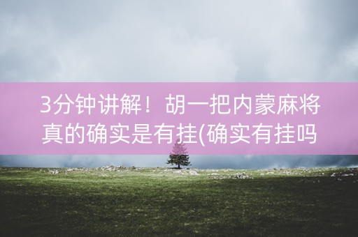 3分钟讲解！胡一把内蒙麻将真的确实是有挂(确实有挂吗)