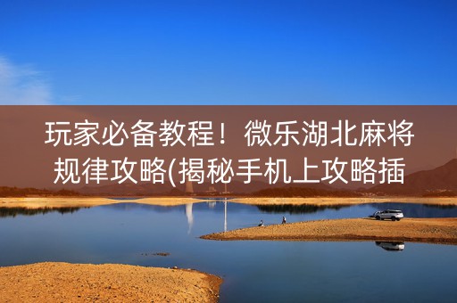 玩家必备教程！微乐湖北麻将规律攻略(揭秘手机上攻略插件)