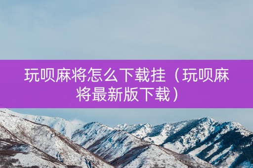 玩呗麻将怎么下载挂（玩呗麻将最新版下载）