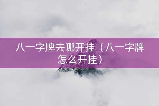 八一字牌去哪开挂（八一字牌怎么开挂）
