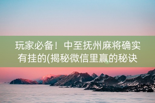 玩家必备！中至抚州麻将确实有挂的(揭秘微信里赢的秘诀)
