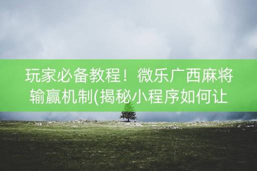 玩家必备教程！微乐广西麻将输赢机制(揭秘小程序如何让牌变好)