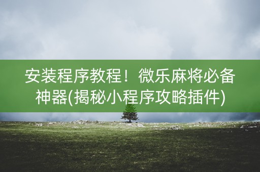安装程序教程！微乐麻将必备神器(揭秘小程序攻略插件)