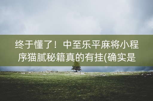 终于懂了！中至乐平麻将小程序猫腻秘籍真的有挂(确实是有挂的)