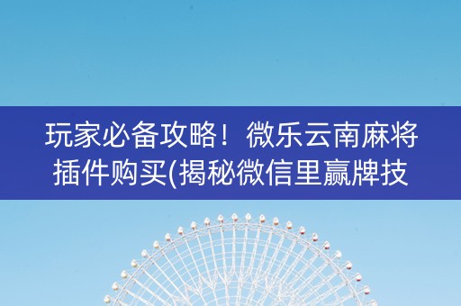 玩家必备攻略！微乐云南麻将插件购买(揭秘微信里赢牌技巧)