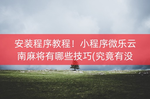 安装程序教程！小程序微乐云南麻将有哪些技巧(究竟有没有挂)