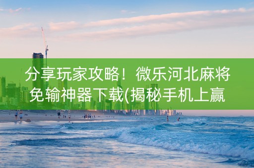 分享玩家攻略！微乐河北麻将免输神器下载(揭秘手机上赢牌的技巧)