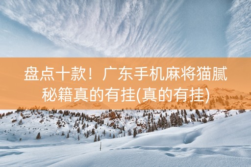 盘点十款！广东手机麻将猫腻秘籍真的有挂(真的有挂)