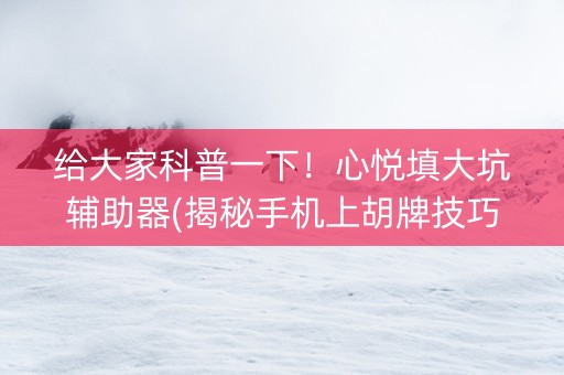 给大家科普一下！心悦填大坑辅助器(揭秘手机上胡牌技巧)