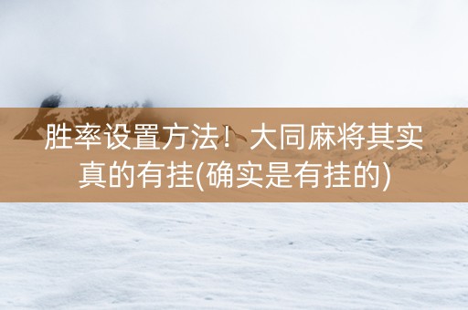 胜率设置方法！大同麻将其实真的有挂(确实是有挂的)