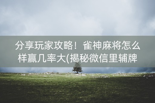 分享玩家攻略！雀神麻将怎么样赢几率大(揭秘微信里辅牌器)