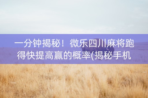 一分钟揭秘！微乐四川麻将跑得快提高赢的概率(揭秘手机上助赢神器购买)