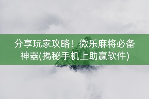 分享玩家攻略！微乐麻将必备神器(揭秘手机上助赢软件)