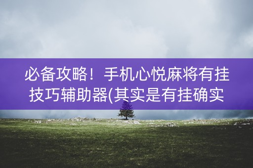 必备攻略！手机心悦麻将有挂技巧辅助器(其实是有挂确实有挂)