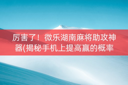 厉害了！微乐湖南麻将助攻神器(揭秘手机上提高赢的概率)