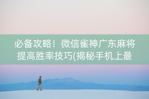必备攻略！微信雀神广东麻将提高胜率技巧(揭秘手机上最新神器下载)