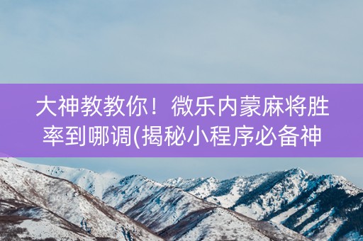 大神教教你！微乐内蒙麻将胜率到哪调(揭秘小程序必备神器)