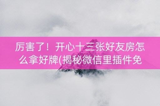 厉害了！开心十三张好友房怎么拿好牌(揭秘微信里插件免费)