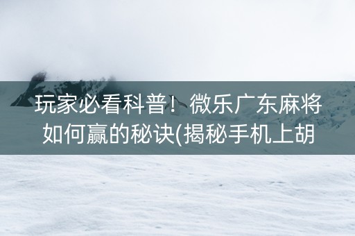 玩家必看科普！微乐广东麻将如何赢的秘诀(揭秘手机上胡牌技巧)