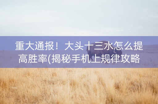 重大通报！大头十三水怎么提高胜率(揭秘手机上规律攻略)