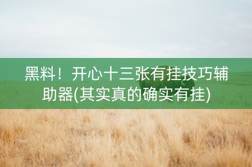 黑料！开心十三张有挂技巧辅助器(其实真的确实有挂)