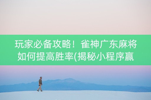 玩家必备攻略！雀神广东麻将如何提高胜率(揭秘小程序赢牌技巧)