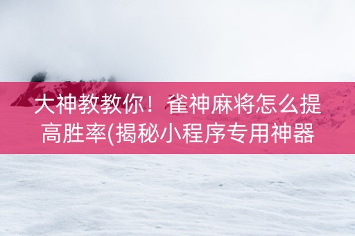 大神教教你！雀神麻将怎么提高胜率(揭秘小程序专用神器下载)