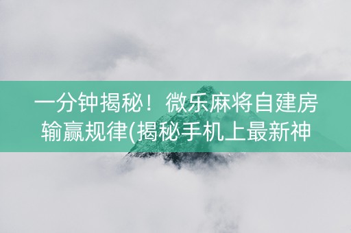 一分钟揭秘！微乐麻将自建房输赢规律(揭秘手机上最新神器下载)