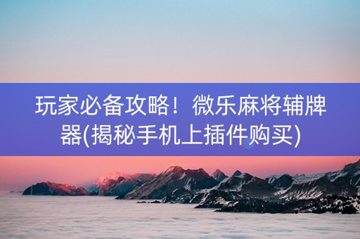 玩家必备攻略！微乐麻将辅牌器(揭秘手机上插件购买)