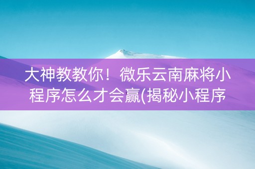 大神教教你！微乐云南麻将小程序怎么才会赢(揭秘小程序专用神器)