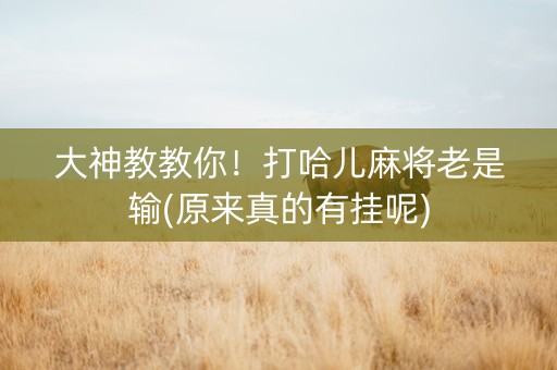 大神教教你！打哈儿麻将老是输(原来真的有挂呢)