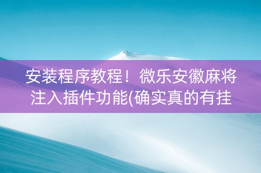 安装程序教程！微乐安徽麻将注入插件功能(确实真的有挂)