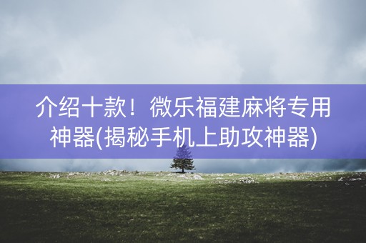 介绍十款！微乐福建麻将专用神器(揭秘手机上助攻神器)