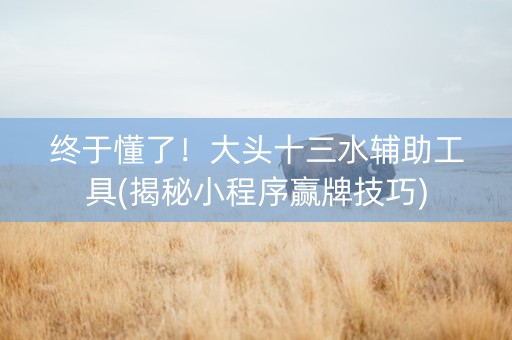 终于懂了！大头十三水辅助工具(揭秘小程序赢牌技巧)