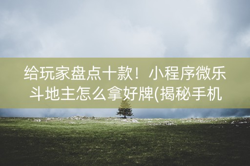 给玩家盘点十款！小程序微乐斗地主怎么拿好牌(揭秘手机上规律攻略)