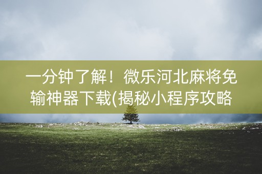 一分钟了解！微乐河北麻将免输神器下载(揭秘小程序攻略插件)