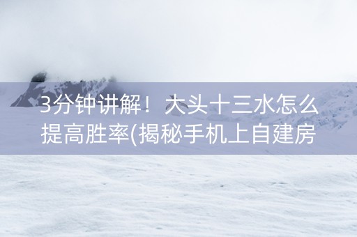 3分钟讲解！大头十三水怎么提高胜率(揭秘手机上自建房怎么赢)