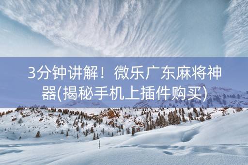 3分钟讲解！微乐广东麻将神器(揭秘手机上插件购买)